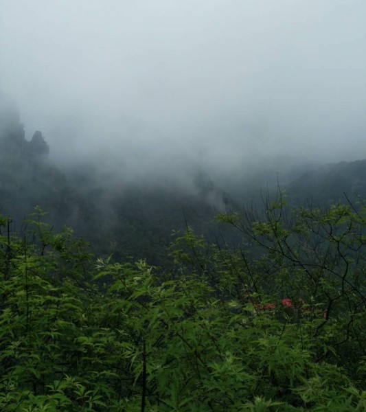 周红霞：轿顶山雨雾（上）