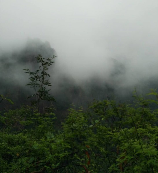 周红霞：轿顶山雨雾（下）