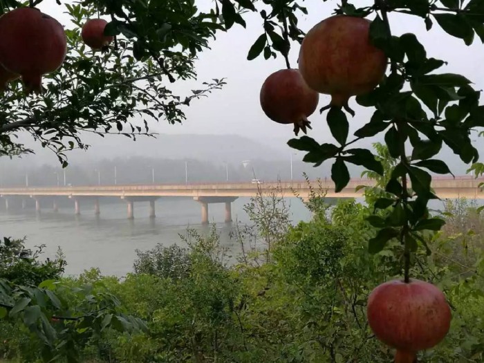 殷姿：河清口村景色（下）